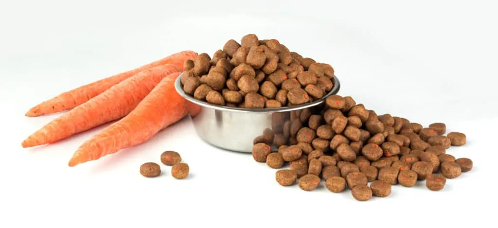 Gesunde snacks fรผr ihren hund: die perfekte belohnung 1 Gesunde snacks