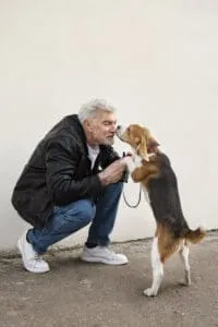 10 beagle activiteiten die ze graag doen 5