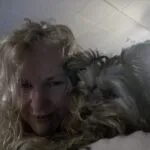 Yorkshire terrier - chico 12 Feedback yorkshire terrier