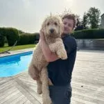 Goldendoodle: gaspard à 5 mois et demi 15