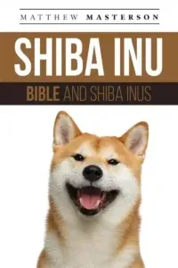 Shiba inu avec des chats? 3 Comportement shiba inu et chats