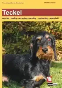 Quelle est la diffรฉrence entre les teckels nains et les kaninchen teckel? 3 Poids du teckel nain
