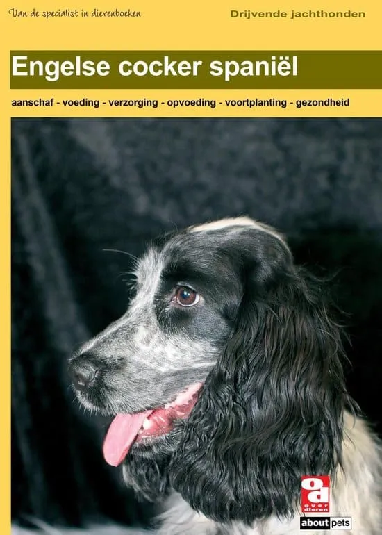 Engelse cocker spaniel nadelen en voordelen: een uitgebreide gids 1