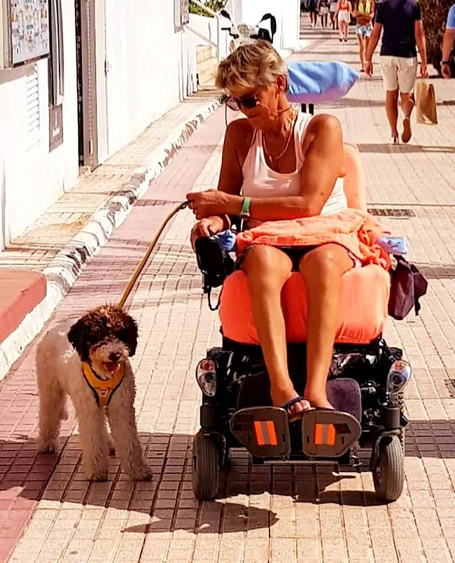 Water dogs vs labradoodle: which hypoallergenic dog suits you? 2 Labradoodle as assistance dog for child with autism