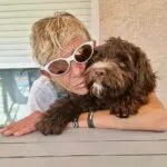 Labradoodle - bibi 12