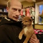 Shiba inu - xeno 13