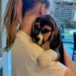 Beagle - fons 1