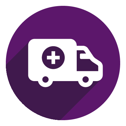 Mobile Clinic Icon
